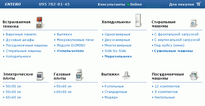 Внешний вид сайта Entero.ru