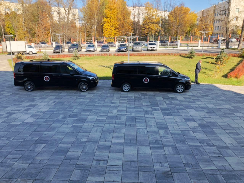 Example of placement of stickers on the doors and hood of a Mercedes-Benz Viano